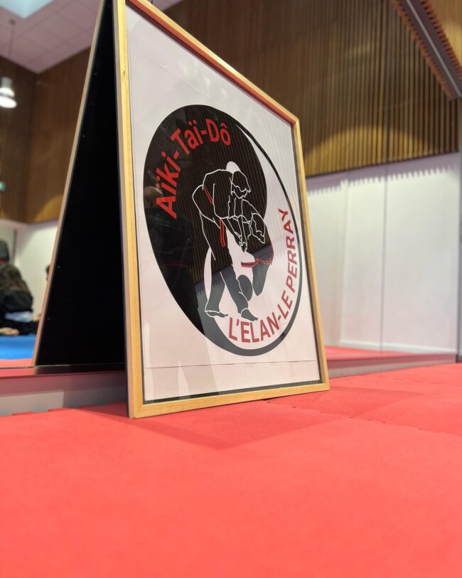 2013 05 AIKI ELAN_AIKITAIDO_LE PERRAY_78_4